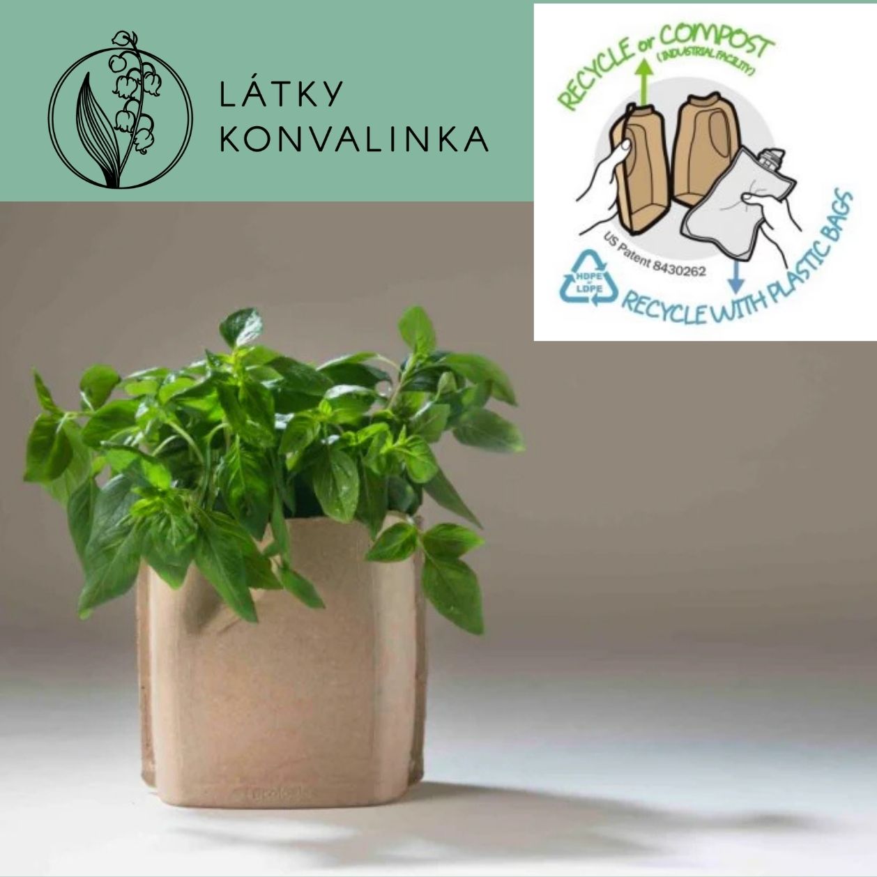 Návrh bez názvu (71)